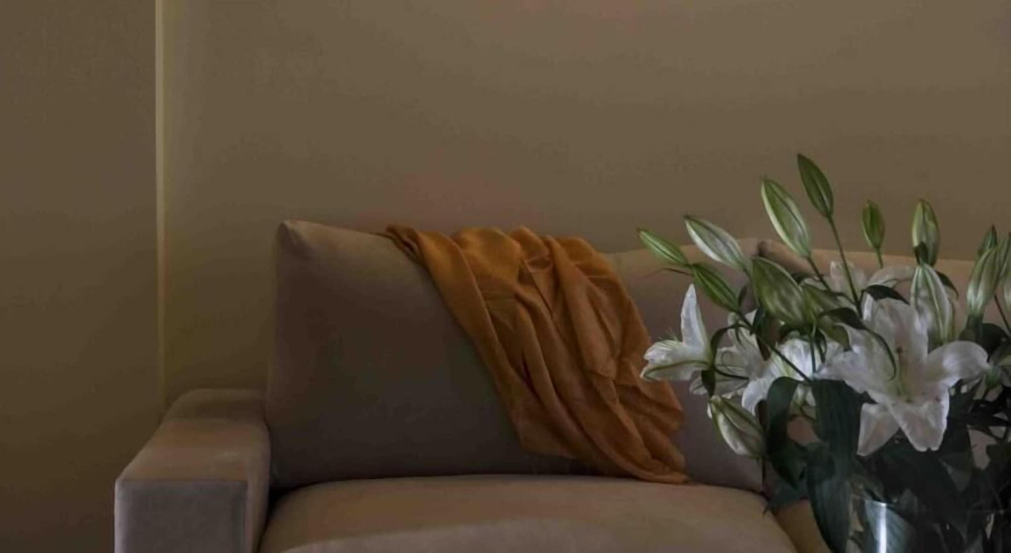 Valis Resort Hotel Vólos Extérieur photo A throw draped over a sofa