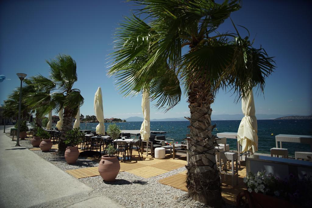 Valis Resort Hotel Vólos Extérieur photo Palm trees in the port of Argostoli